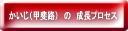 �������i�b��H�j�@�́@�����v���Z�X 